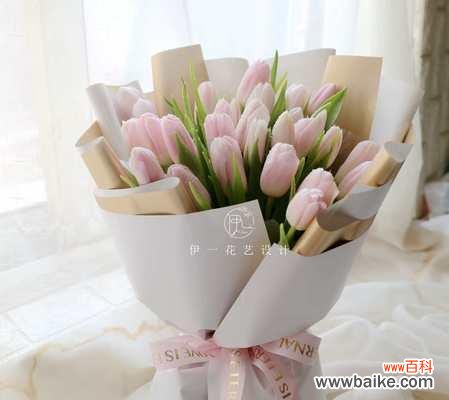 探索郁金香花语的深意和相关传统 郁金香的花语及送花数量的含义