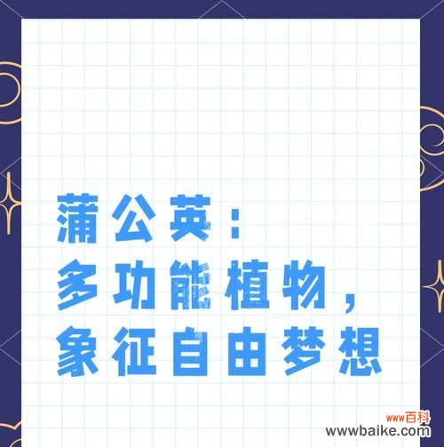 蒲公英飘散的花语有何寓意？