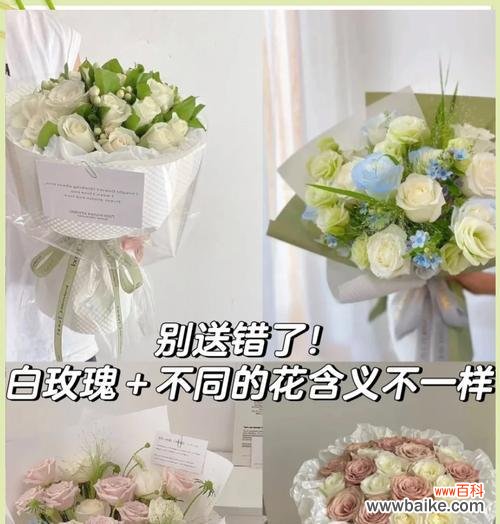 白玫瑰作为礼物的花语是什么?