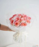 粉玫瑰艾莎的花语有何特别之处？