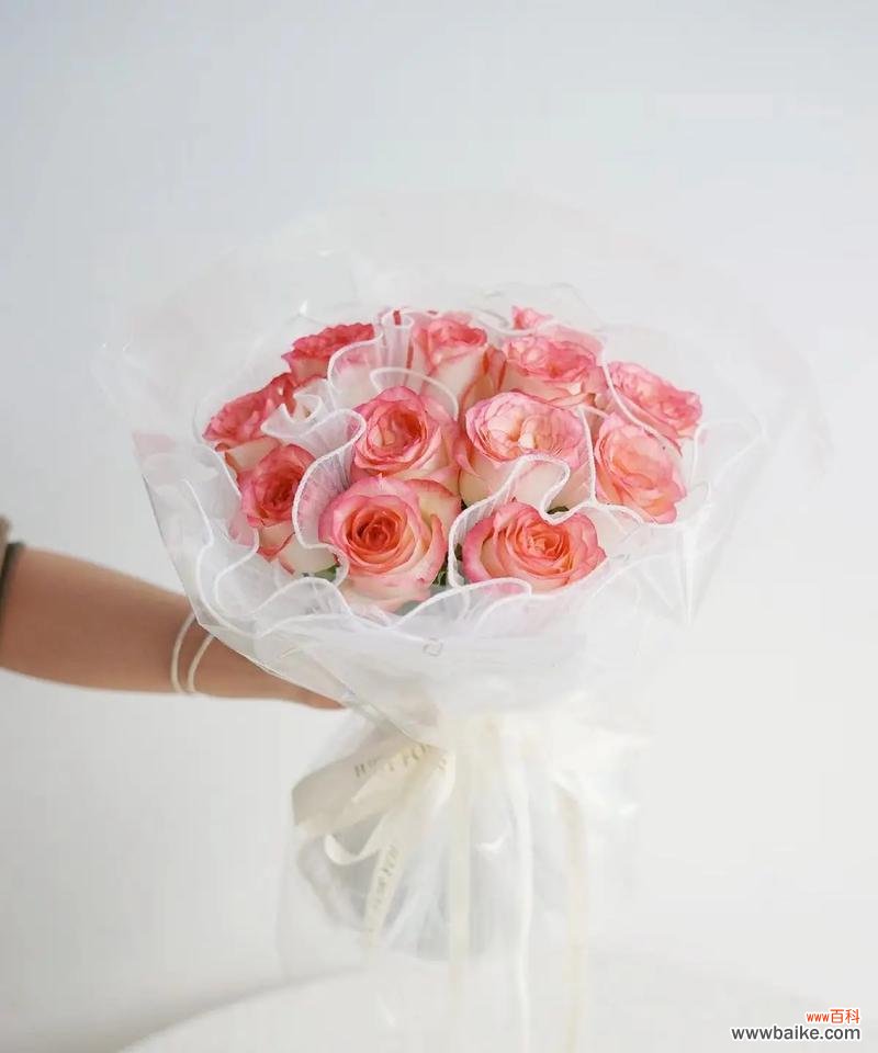 粉玫瑰艾莎的花语有何特别之处？