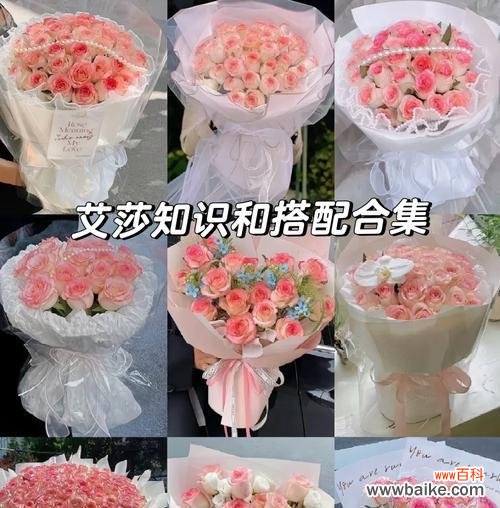 粉玫瑰艾莎的花语有何特别之处？