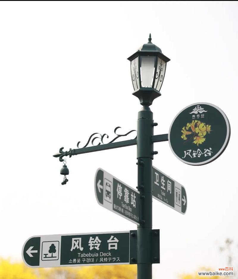 那片风吹的花语是什么?风中花语的深层含义是什么?