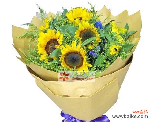 向日葵六朵传递了怎样的信息?