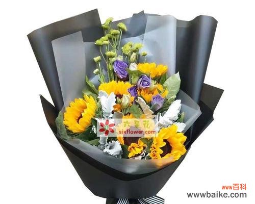 向日葵六朵传递了怎样的信息?