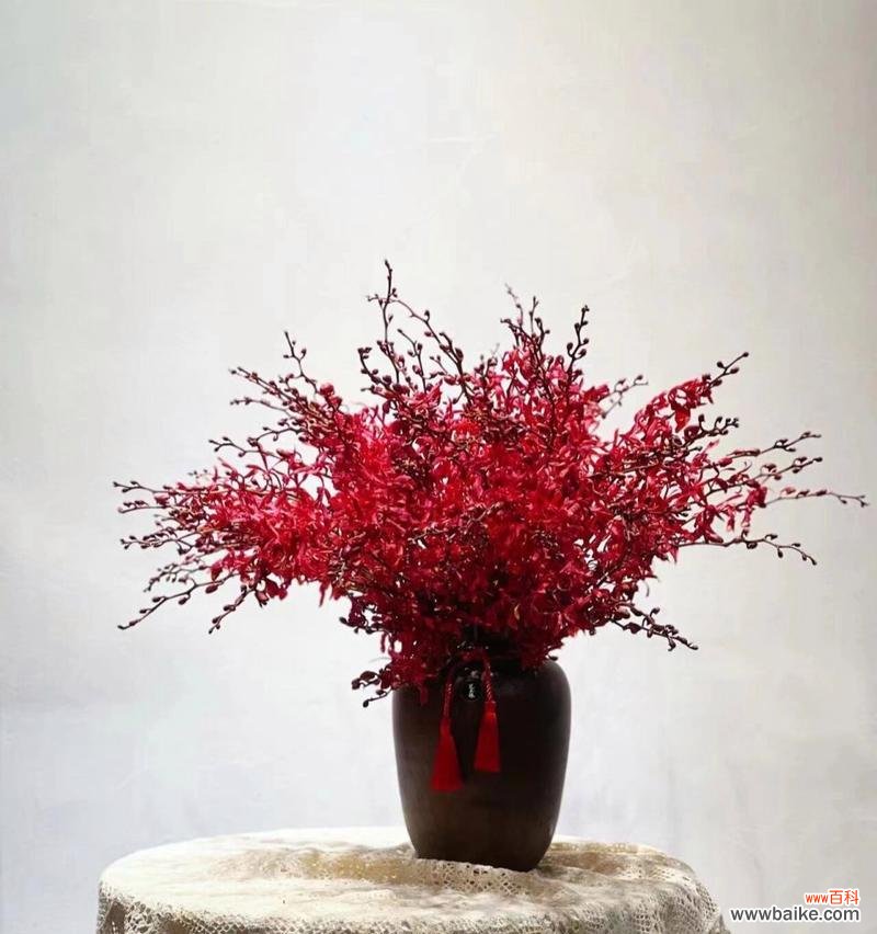 红色花代表了刘辩怎样的情感?