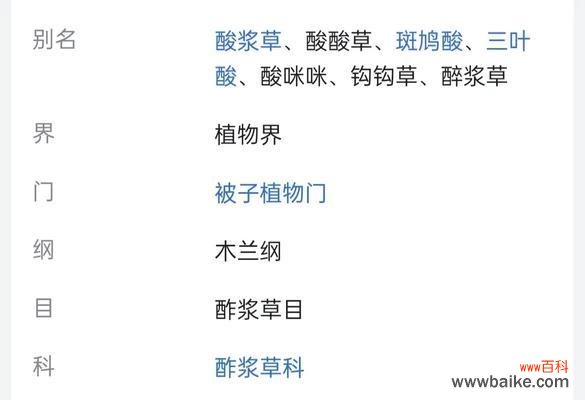 同瓣草的花语代表了什么?