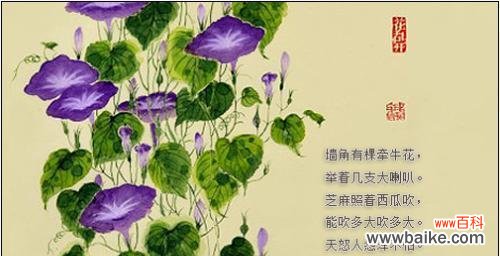 草莓与西瓜花语有何不同?它们各自代表什么?