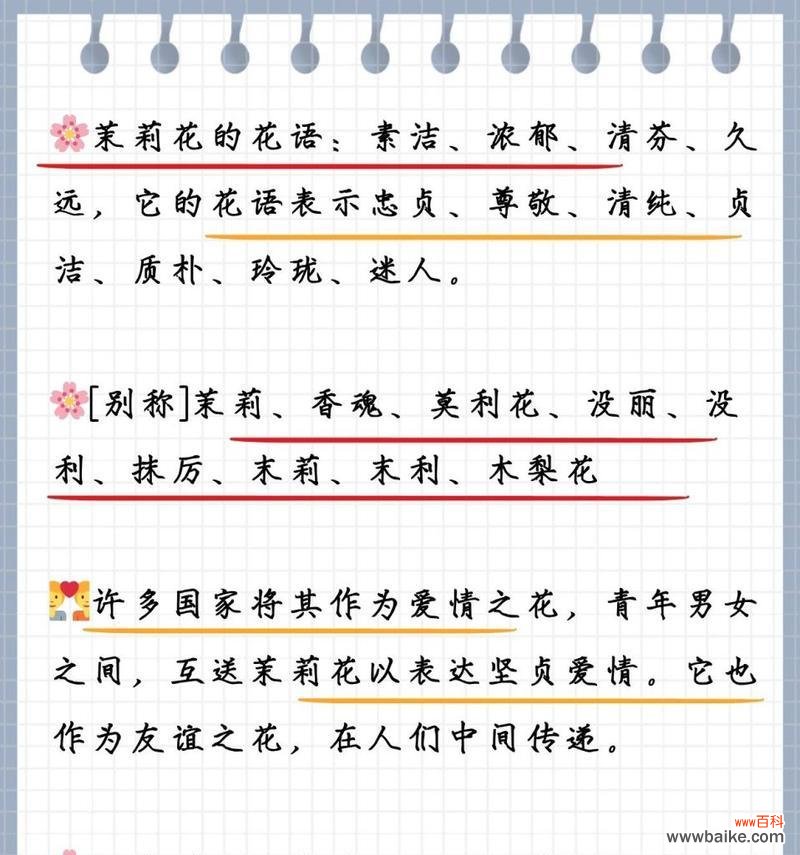 4月1日的花语是什么?它代表了什么?