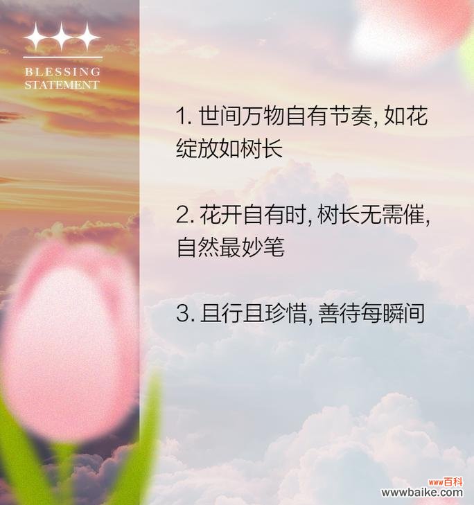 花语花愿的含义是什么?能给出一个例子吗?