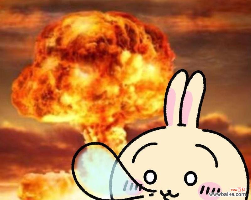 小八表情包的花语代表什么？