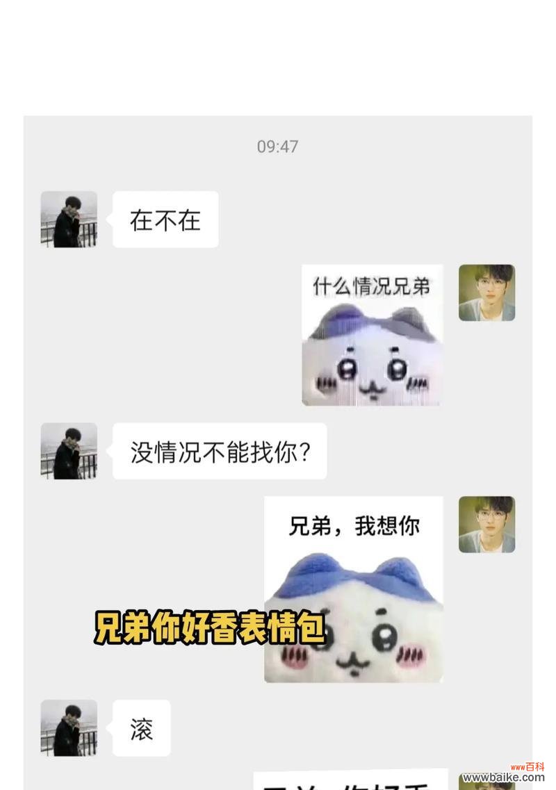 小八表情包的花语代表什么？