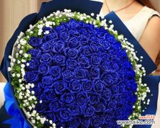 寓意爱情长久的花千姿百态 爱情长久花之美丽绽放