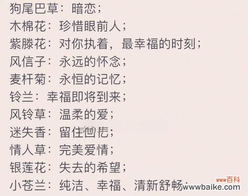 粉玫瑰花语对女生有何特殊含义？