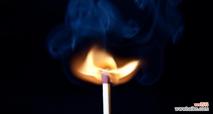 蓄谋已久花语的深层含义是什么？