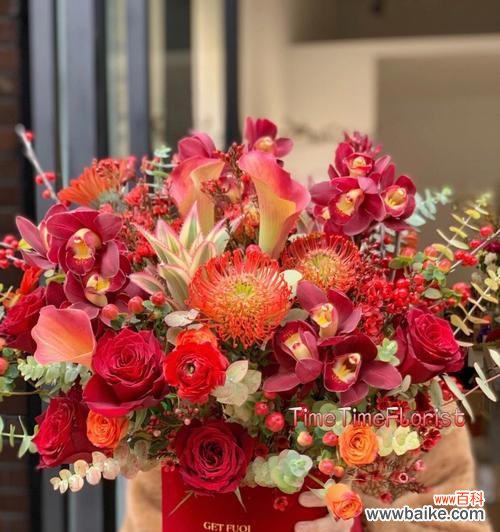 掌握针垫花的花语,学会科学养护 针垫花的养护指南