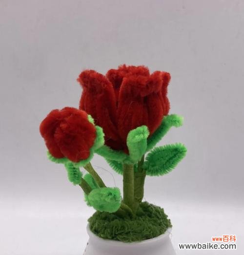 十一片玫瑰代表什么意义?