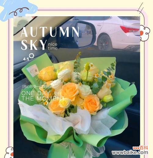 粉玫瑰20朵的花语是什么?代表了什么?