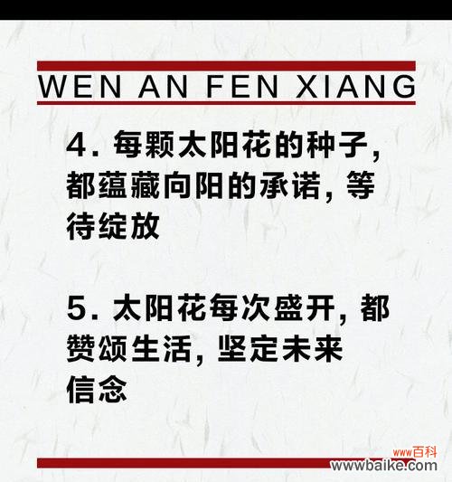 太阳花心形花语代表了什么?