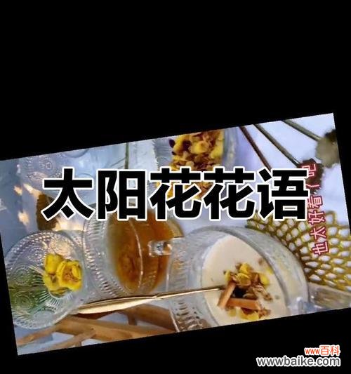 太阳花心形花语代表了什么?