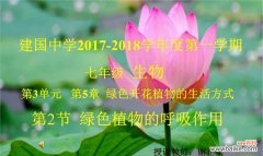 维持生命的关键环节 植物呼吸作用的重要性