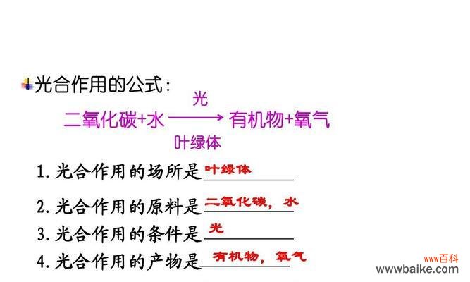 植物通过呼吸维持生命的关键过程 植物的呼吸作用及其重要性