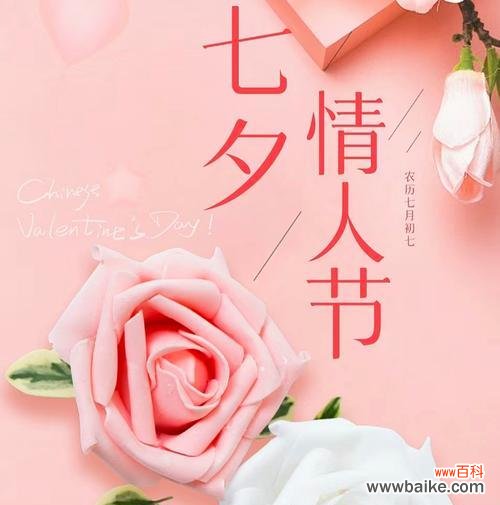 七夕送我的花花语是什么？它在传统节日中承载了哪些情感？