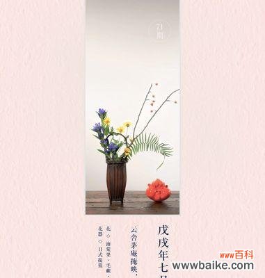 风雅的花语有哪些？