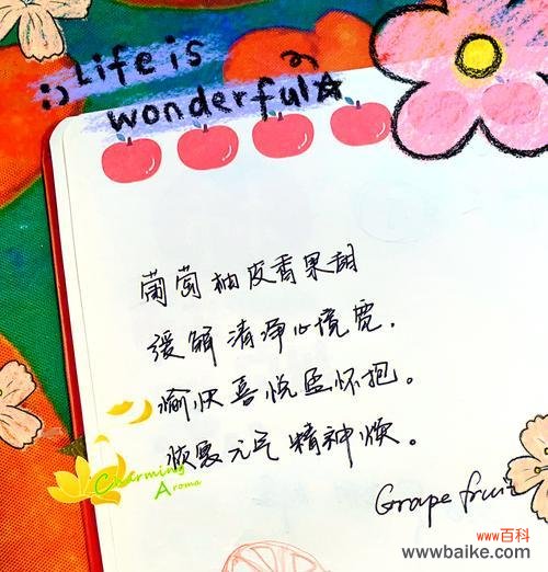 暗夜里的一束光象征着什么?花语有何深层含义?