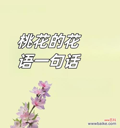 认识你很开心的花语是哪种花？花语中如何表达开心认识你？