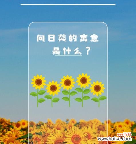 认识你很开心的花语是哪种花？花语中如何表达开心认识你？