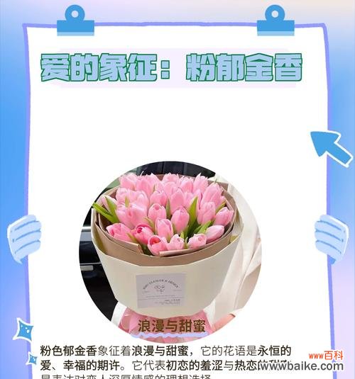 花语隐藏的爱代表什么花？如何表达隐藏的爱意？