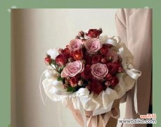 插有胡须的玫瑰花有何特殊寓意？