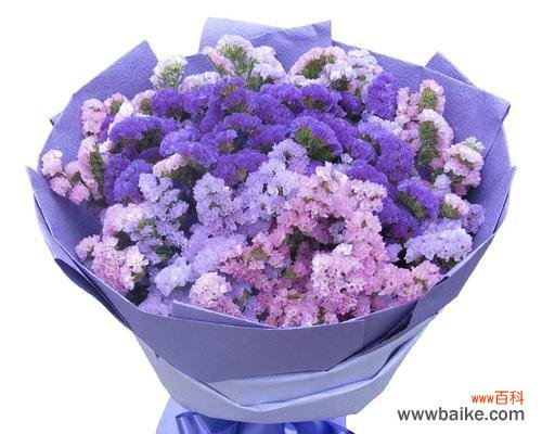 哪种花代表思念？花语中思念的含义是什么？