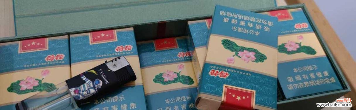 蓝荷花烟的花语有何独特之处？