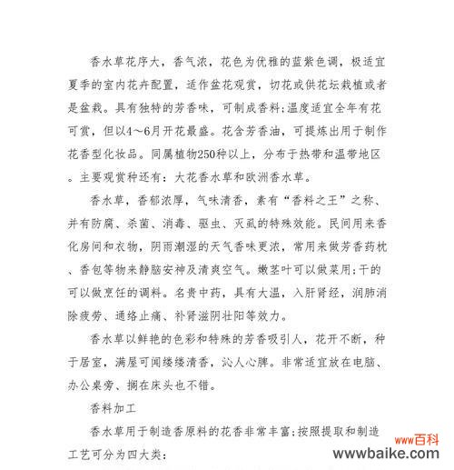 香料丁香的花语是什么?它在花语中代表了什么含义?