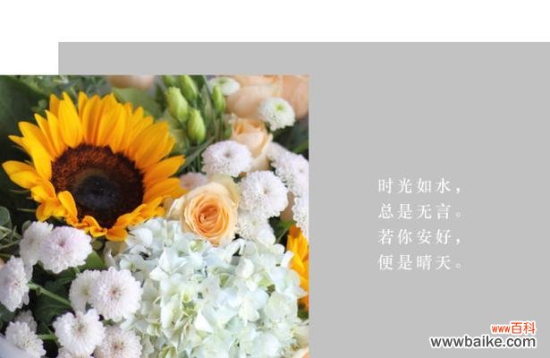 羽毛球玫瑰在花语中代表什么？