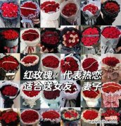 情人节不张扬的花语是什么？情人节的寓意有哪些？