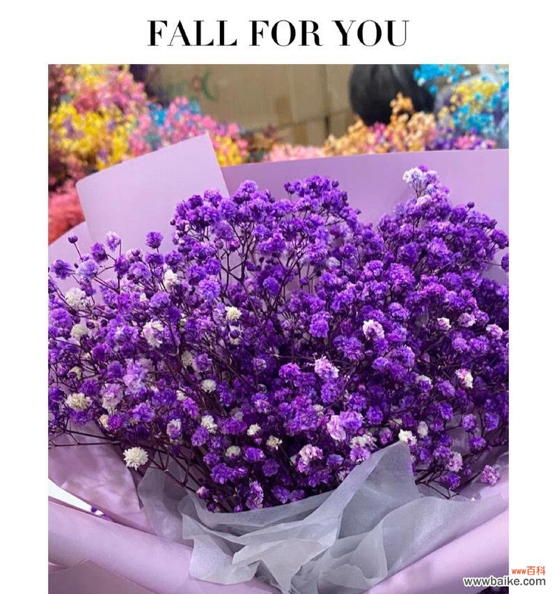 哪些花语既浪漫又带有一丝遗憾？