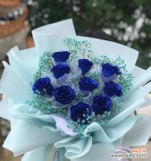 蓝色妖姬的花语是什么？它在爱情中代表了什么？