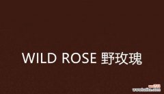 很香的野玫瑰是什么花语？野玫瑰的花语有哪些含义？