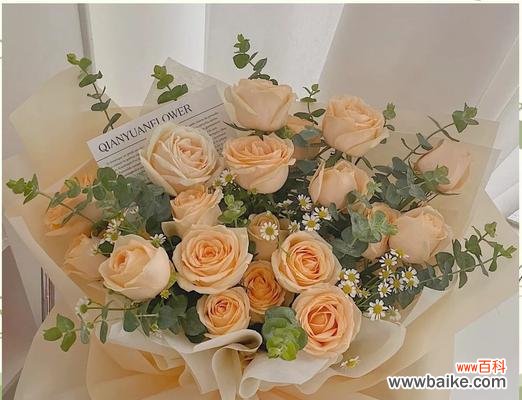 香槟玫瑰传递了怎样的情感？