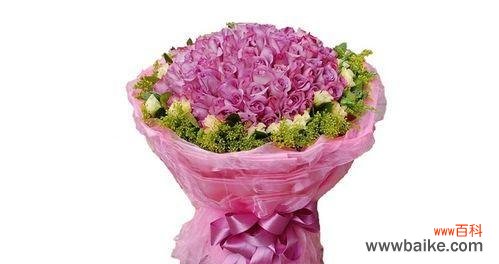 探寻紫玫瑰的文化背景和象征意义 紫玫瑰