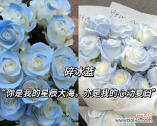 七夕星辰大海的花语是什么？它代表了怎样的情感？