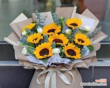 八朵花共同的花语是什么？