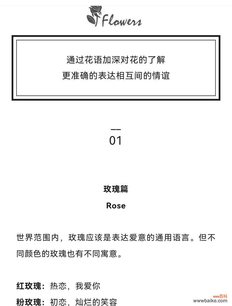 妈妈理解孩子辛苦的花语？如何用花语表达妈妈的理解？