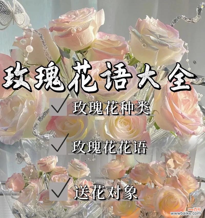 粉色玫瑰花壶寓意什么？粉玫瑰的花语1到9朵又是什么？