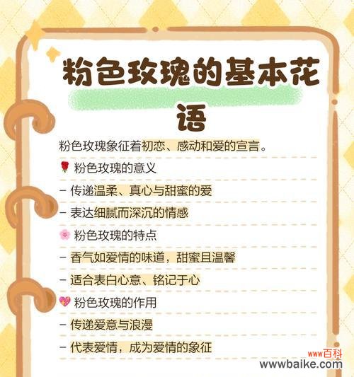 粉色玫瑰花壶寓意什么？粉玫瑰的花语1到9朵又是什么？