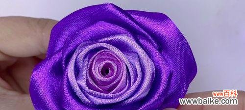 探索紫色玫瑰的神秘与美丽 紫色玫瑰的意义及象征