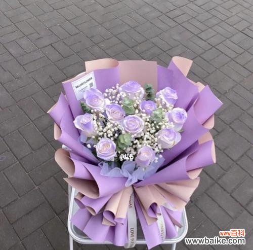 探索紫色玫瑰的神秘与美丽 紫色玫瑰的意义及象征